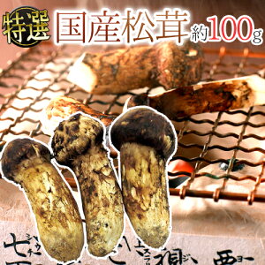 hYh 100g 傫܂ YnIy\ 9{ȍ~z 