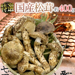 y9/25ISz|CgobN̑`XzhYh 400g 傫܂ YnIy\ 9{ȍ~z 