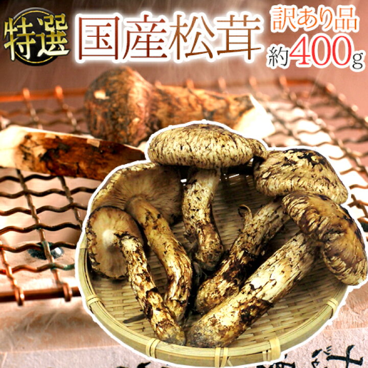 北海道松茸400g 訳あり