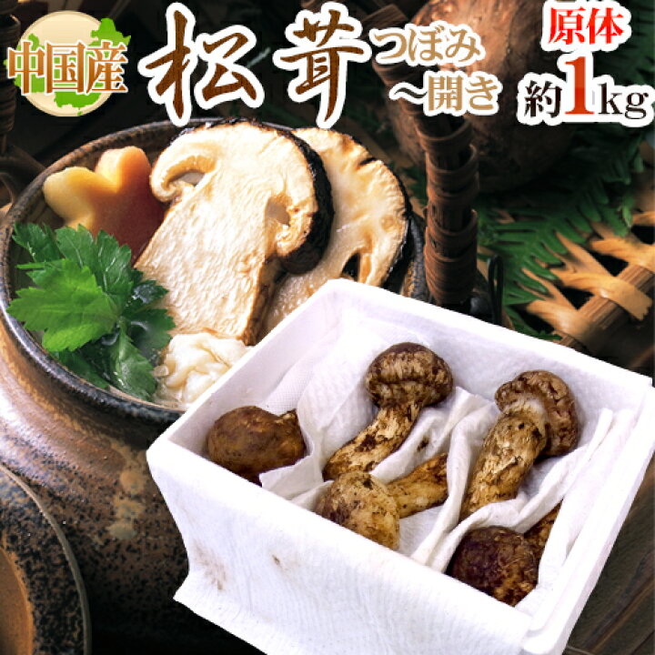 楽天市場】”中国産 松茸” 約1kg 原体・ほんのちょっと訳あり つぼみ 