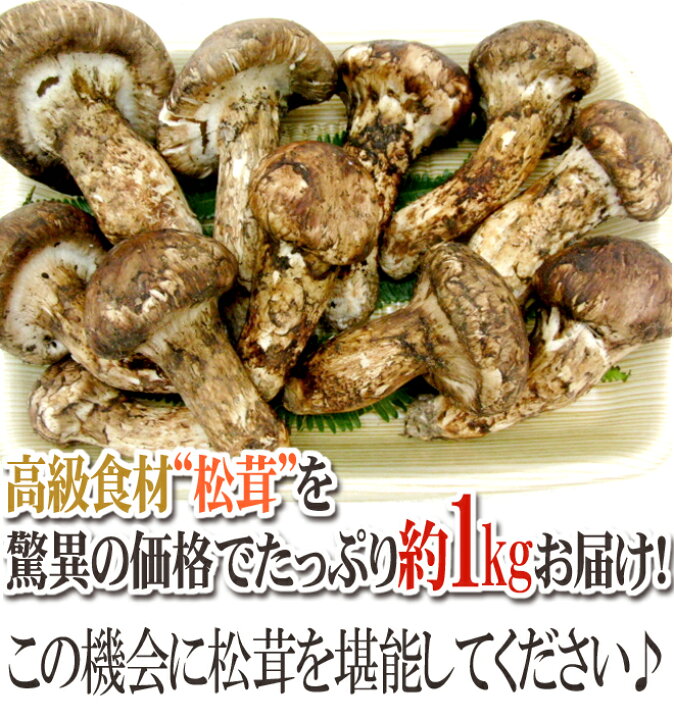 楽天市場】”中国産 松茸” 約1kg 原体・ほんのちょっと訳あり つぼみ  