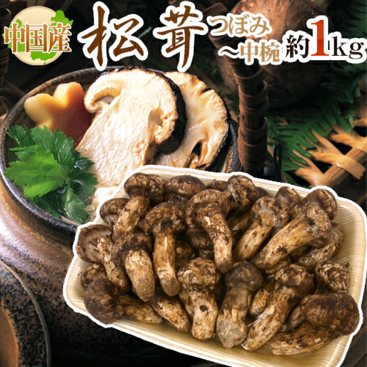 楽天市場】”中国産 松茸” 約1kg つぼみ〜中椀 大きさおまかせ【予約 7 