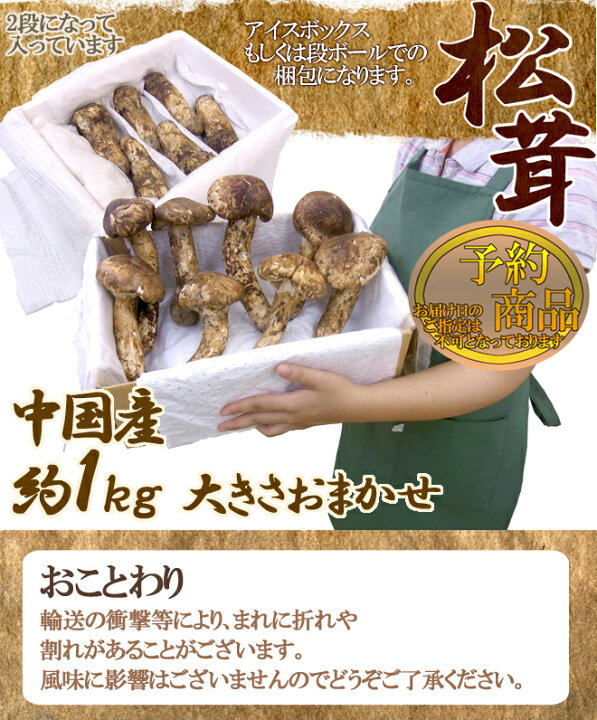 楽天市場】”中国産 松茸” 約1kg つぼみ〜中椀 大きさおまかせ【予約 7 