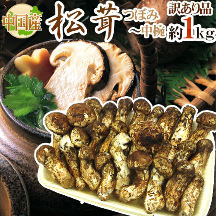 楽天市場】”中国産 松茸” 約1kg 訳あり 開き方・大きさおまかせ【予約  