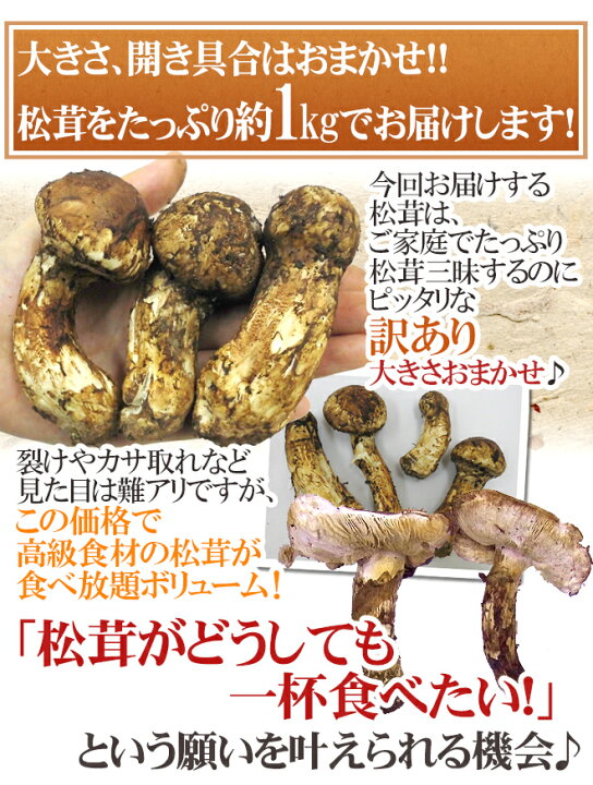 楽天市場】”中国産 松茸” 約1kg 訳あり 開き方・大きさおまかせ【予約  