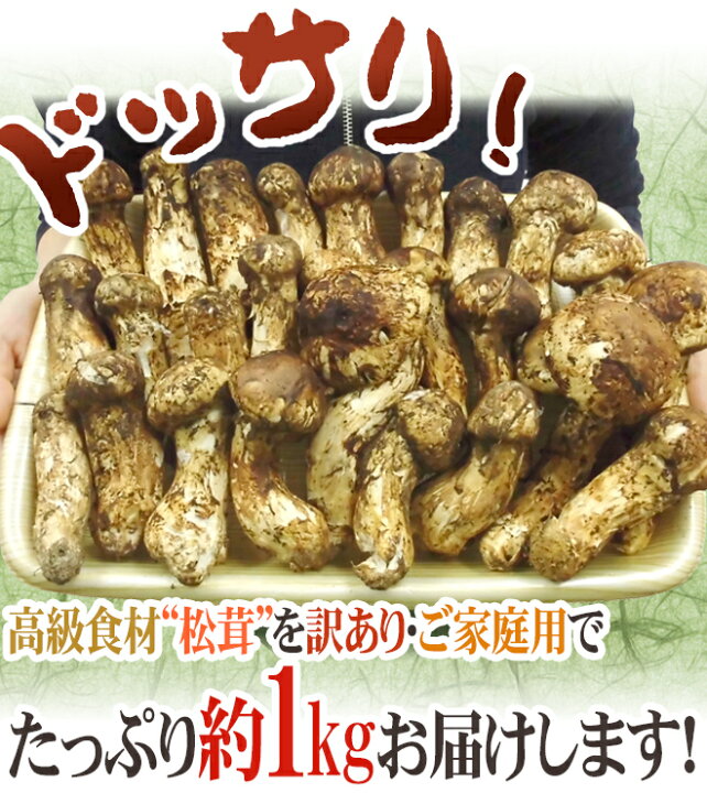 楽天市場】”中国産 松茸” 約1kg 訳あり 開き方・大きさおまかせ【予約  