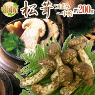”中国産 松茸” 3〜6本 約200g つぼみ〜中椀【お届け日指定可能】 送料無料