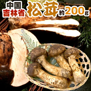 松茸 200g」の人気商品一覧・価格比較 - 価格.com