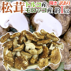 楽天市場 トルコ 産 松茸の通販 楽天市場 トルコ 産 松茸の通販