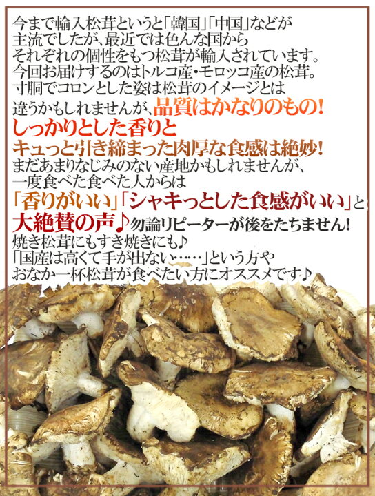 楽天市場】トルコ・モロッコ産 ”松茸” 訳あり 約400g 開き 大きさおまかせ ご家庭用【予約 11月以降】 送料無料 : くらし快援隊〜お中元お歳暮ギフト 楽天市場】トルコ・モロッコ産 ”松茸” 訳あり 約400g 開き 大きさおまかせ ご家庭用【予約 11月以降】 送料無料 : くらし快援隊〜お中元お歳暮ギフト
