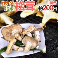 カナダ・北米産 ”松茸” 開き 2〜6本 約200g【予約 9月中下旬以降】 送料無料