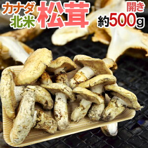 Ji_EkĎY hh 500g J 傫܂y\ 9{ȍ~z 