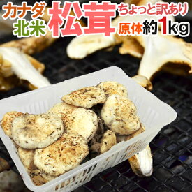 カナダ・北米産 ”松茸” 約1kg 原体・ほんのちょっと訳あり 大きさおまかせ【予約 9月中下旬以降】 送料無料