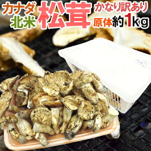 Ji_EkĎY hh Ȃ󂠂 1kg  傫܂y\ 9{ȍ~z 