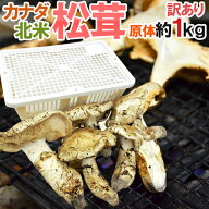 カナダ・北米産 ”松茸” 訳あり 約1kg 原体 大きさおまかせ【予約 9月中下旬以降】 送料無料