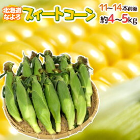 JA道北なよろ 高糖度とうもろこし ”北海道 スイートコーン” 11〜14本前後 約4〜5kg【予約 8月中下旬以降】 送料無料