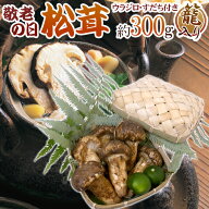 遅れてごめんね！敬老の日ギフト ”中国産 松茸” 約300g カゴ入り・スダチ付 大きさおまかせ 【予約 9月…