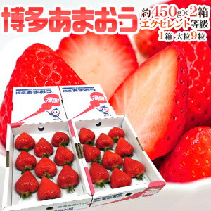 �����Y������ �h�������܂����h �ō�����EX�i�G�N�Z�����g�j 2���i�����嗱 1��9�� ��450g�j�y�\�� 2�����{�ȍ~�z ��������