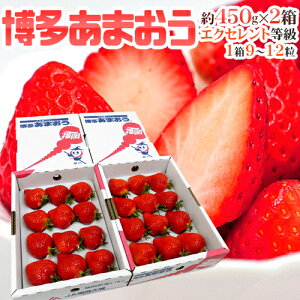 �����Y������ �h�������܂����h �ō�����EX�i�G�N�Z�����g�j 2���i1��������9�`12�� ��450g�j�y�\�� 2�����{�ȍ~�z ��������