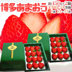 Y h܂h ōEXiGNZgj Mtgpϔ 12`15 450g×s2ty\ 12{ȍ~zyYnz 