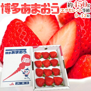 �����Y������ �h�������܂����h �ō�����EX�i�G�N�Z�����g�j 1�� 9�`12�� ��450g�y�\�� 2�����{�ȍ~�z ��������