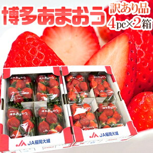 Y  h܂h 󂠂 270g×4pbN×s2ty\ 12ȍ~z 