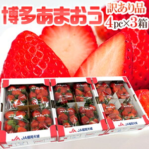 Y  h܂h 󂠂 270g×4pbN×s3ty\ 12ȍ~z 