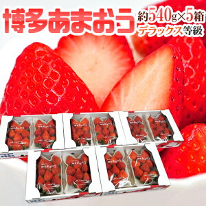 Y  h܂h DXifbNXj 5 10pbNi1pbN270gjy\ 12ȍ~z 