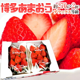 福岡産 博多 ”あまおういちご” 等級DX（デラックス） 1箱 2パック入り（1パック約270g）【予約 12月以降】 送料無料
