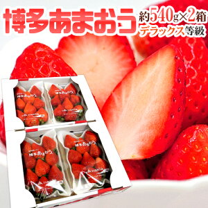 Y  h܂h DXifbNXj 2 4pbNi1pbN270gjy\ 12ȍ~z 