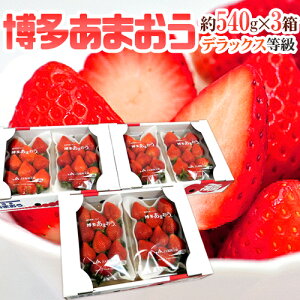 Y  h܂h DXifbNXj 3 6pbNi1pbN270gjy\ 12ȍ~z 