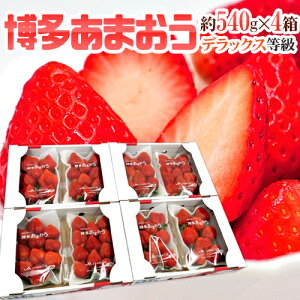 福岡産 博多 ”あまおういちご” 等級DX(デラックス) 4箱 8パック入り(1パック約270g)【予約 12月以降】 送料無料