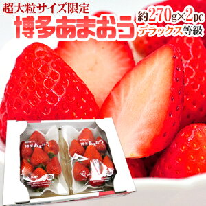 Y  h嗱 ܂h DXifbNXj 1 270gi7Oj×2pbNy\ 12ȍ~z 