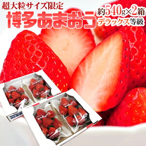 福岡産 博多 ”超大粒 あまおういちご” 等級DX(デラックス) 2箱(1箱あたり約270g(7粒前後)×2パック)【予約 12月以降】 送料無料