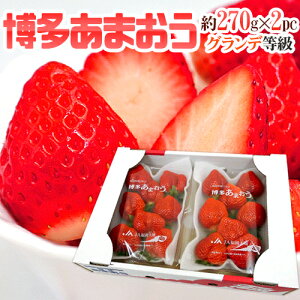 福岡産 博多 ”あまおういちご” 等級G(グランデ) 1箱 2パック入り(1パック約270g)【予約 12月以降】 送料無料