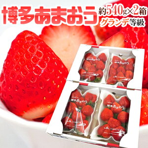 福岡産 博多 ”あまおういちご” 等級G(グランデ) 2箱 4パック入り(1パック約270g)【予約 12月以降】 送料無料