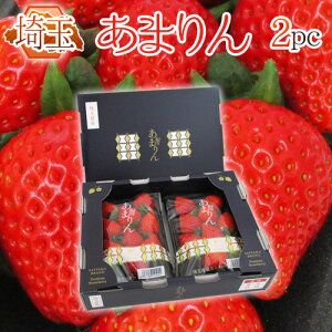 ��ʌ� �h���܂��h 2pc���� ���ϔ� �������y�\�� 1�����{�ȍ~�z ��������