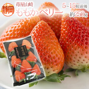 É h䕉R x[h Gi 5`15O 250g y\ 1{ȍ~z 