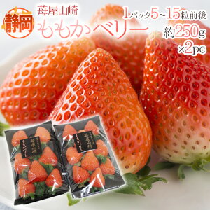 É h䕉R x[h Gi 2pci1pc5`15O 250gj y\ 1{ȍ~z 