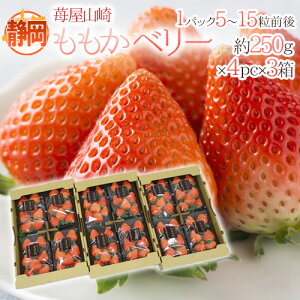 É h䕉R x[h Gi 4pci1pc5`15O 250gj×s3t y\ 1{ȍ~z 