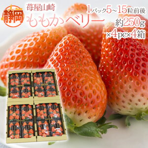 É h䕉R x[h Gi 4pci1pc5`15O 250gj×s4t y\ 1{ȍ~z 