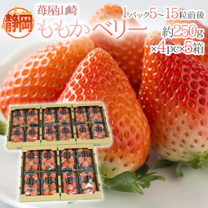 É h䕉R x[h Gi 4pci1pc5`15O 250gj×s5t y\ 1{ȍ~z 