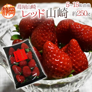 É h䕉R bhRh Gi 5`15O 250g y\ 1{ȍ~z 