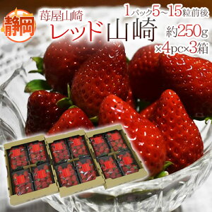 É h䕉R bhRh Gi 4pci1pc5`15O 250gj×s3t y\ 1{ȍ~z 