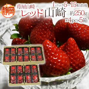 É h䕉R bhRh Gi 4pci1pc5`15O 250gj×s5t y\ 1{ȍ~z 