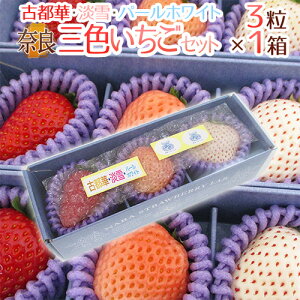 ޗǌY hOFZbgh 1i13jÓs؁EWEp[zCg ϔy\ 2ȍ~z