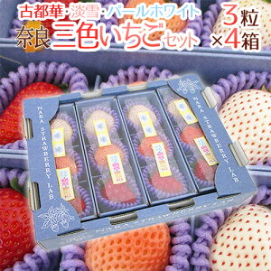 ޗǌY hOFZbgh 4i13jÓs؁EWEp[zCg ϔy\ 2ȍ~z 