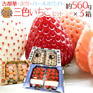 ޗǌY hOF 3Zbgh 2pci1pc9`18O 280gj×3 Ós؁EWEp[zCgy\ 12`1ȍ~z 