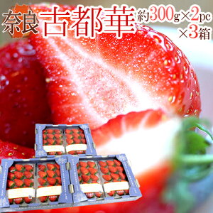 ޗǌY hÓs؂h 2pc×s3ti1pc 300gjy\ 12`1ȍ~z 