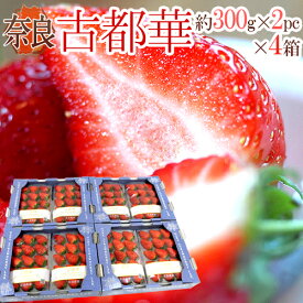 楽天市場 いちご 9 月の通販